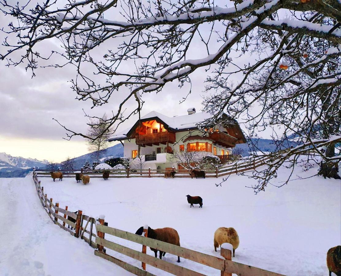 Oberplunerhof - Fewo Kronplatz К'єнес Екстер'єр фото